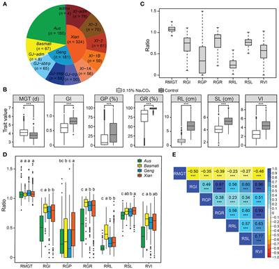 Genome-wide association and epistasis studies reveal the genetic basis of saline-alkali tolerance at the germination stage in rice